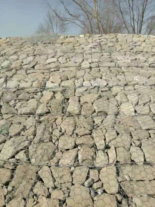 鍍高爾凡雙隔板雷諾護墊