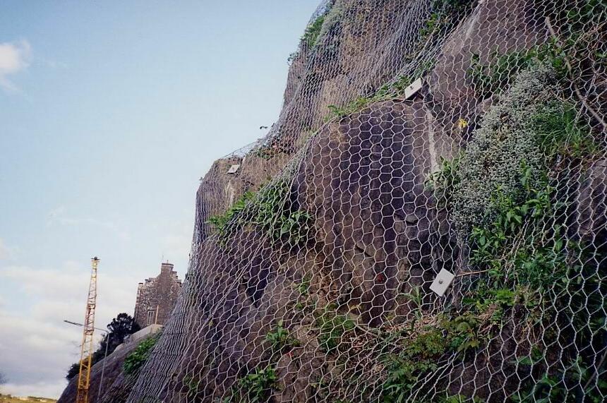 邊坡防護網規格